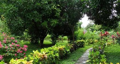 finca montania sagrada Ometepe