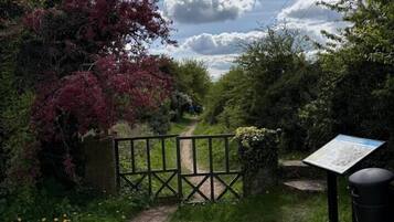 A gravel path leading to a gated entrance surrounded by greenery and a clear sky.