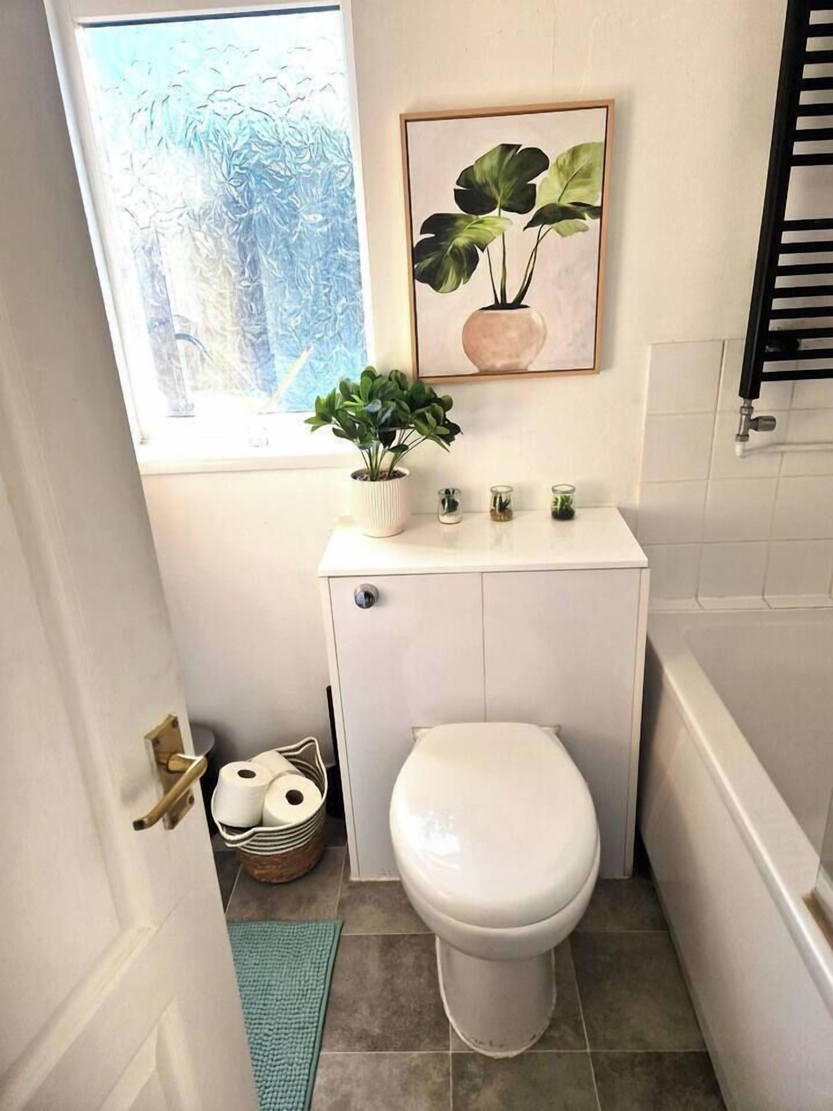 Une petite salle de bain comprenant des toilettes, un petit lavabo, une plante en pot et une fenêtre.