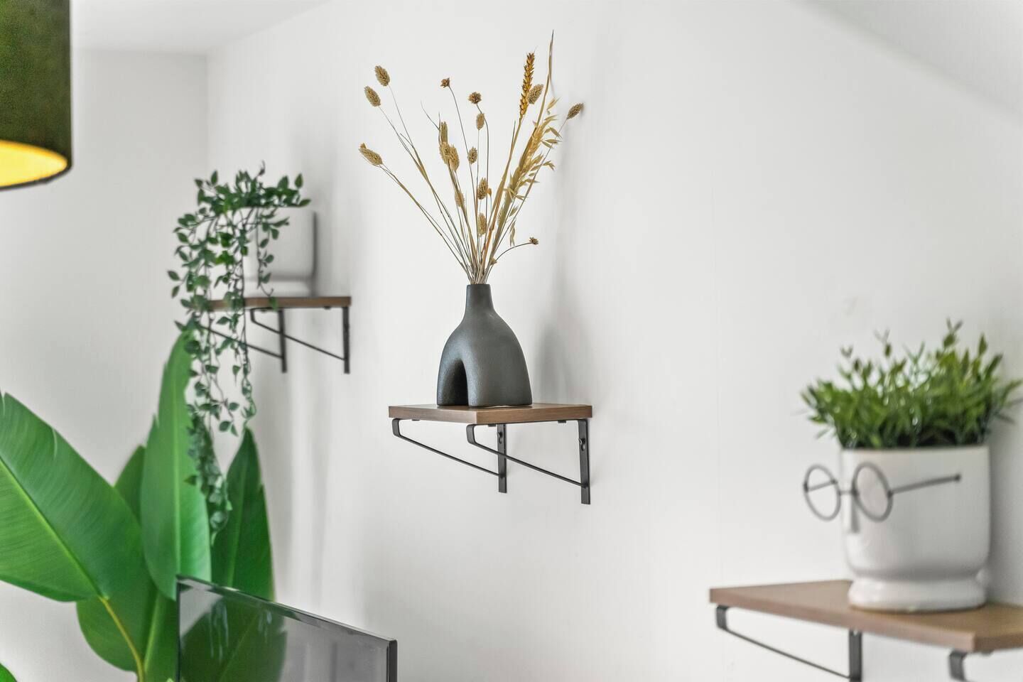 Ein modernes Interieur mit drei Wandregalen, auf jedem ein Blumentopf.