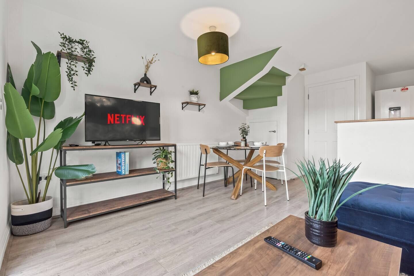 TV