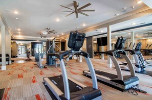A gym with treadmills, exercise equipment, and a mirrored wall.
