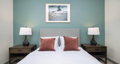 Landing Amazing 1bd, Gym