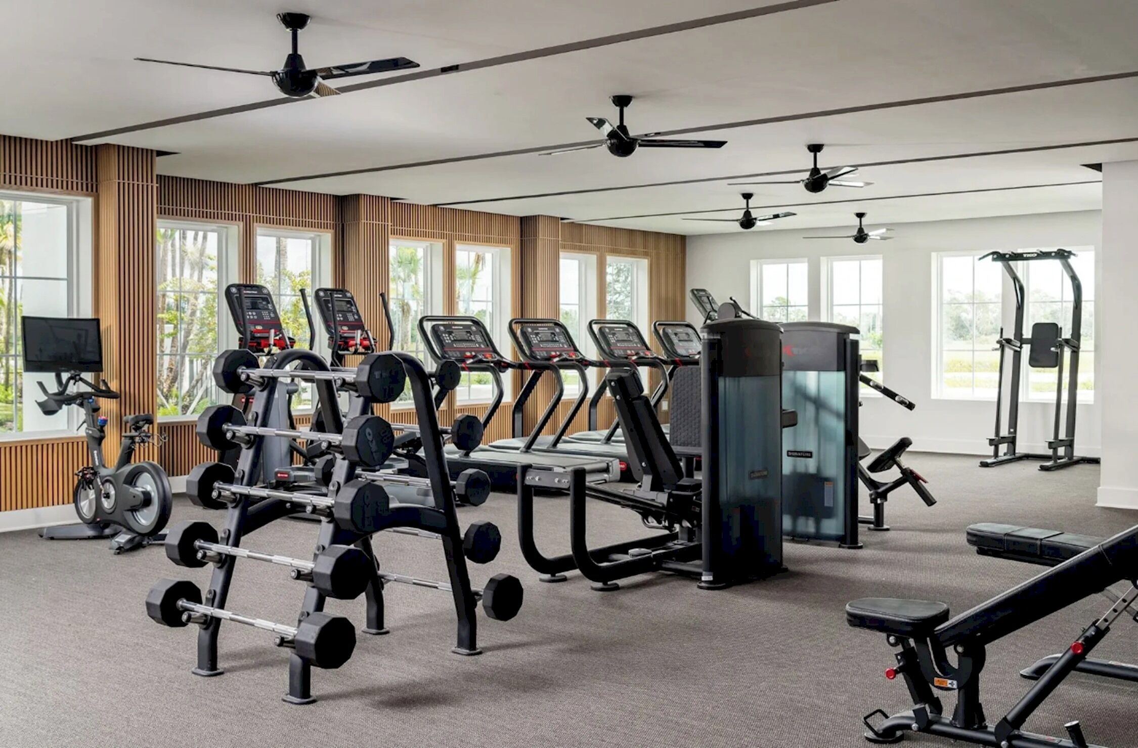 A gym with various exercise equipment, including treadmills, weight machines, and a rowing machine.