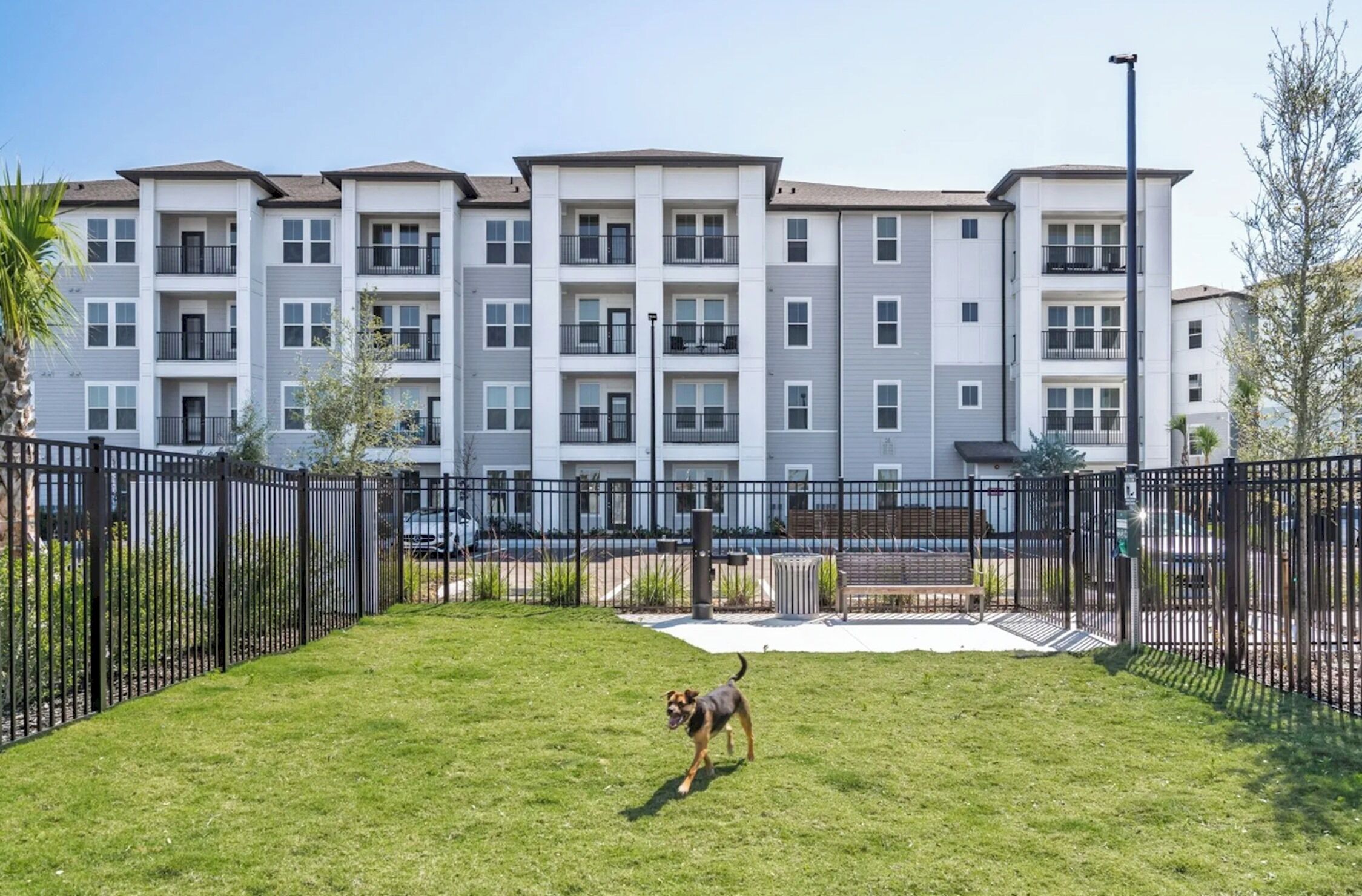 A fenced outdoor area with a grassy lawn and a dog.
