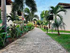 A paved pathway lined with tropical plants and palm trees, leading to a building with a tiled roof.