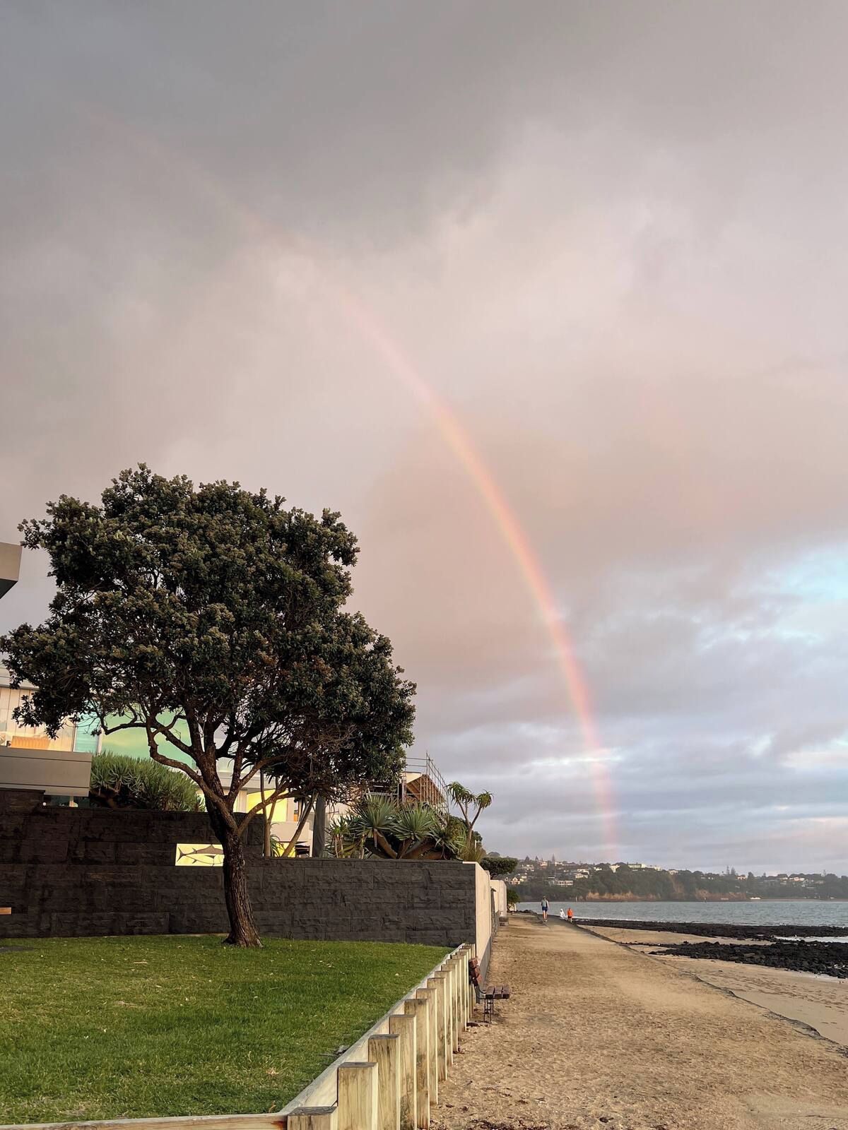 A beach with a rainbow, a tree, and a stone wall.