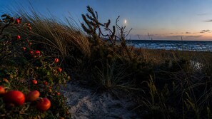 A coastal landscape with vegetation and a view of the ocean.