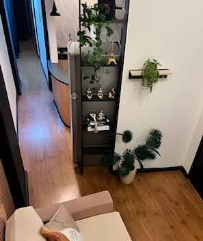 Una habitación con piso de madera, un sofá, un zapatero y una planta en maceta.