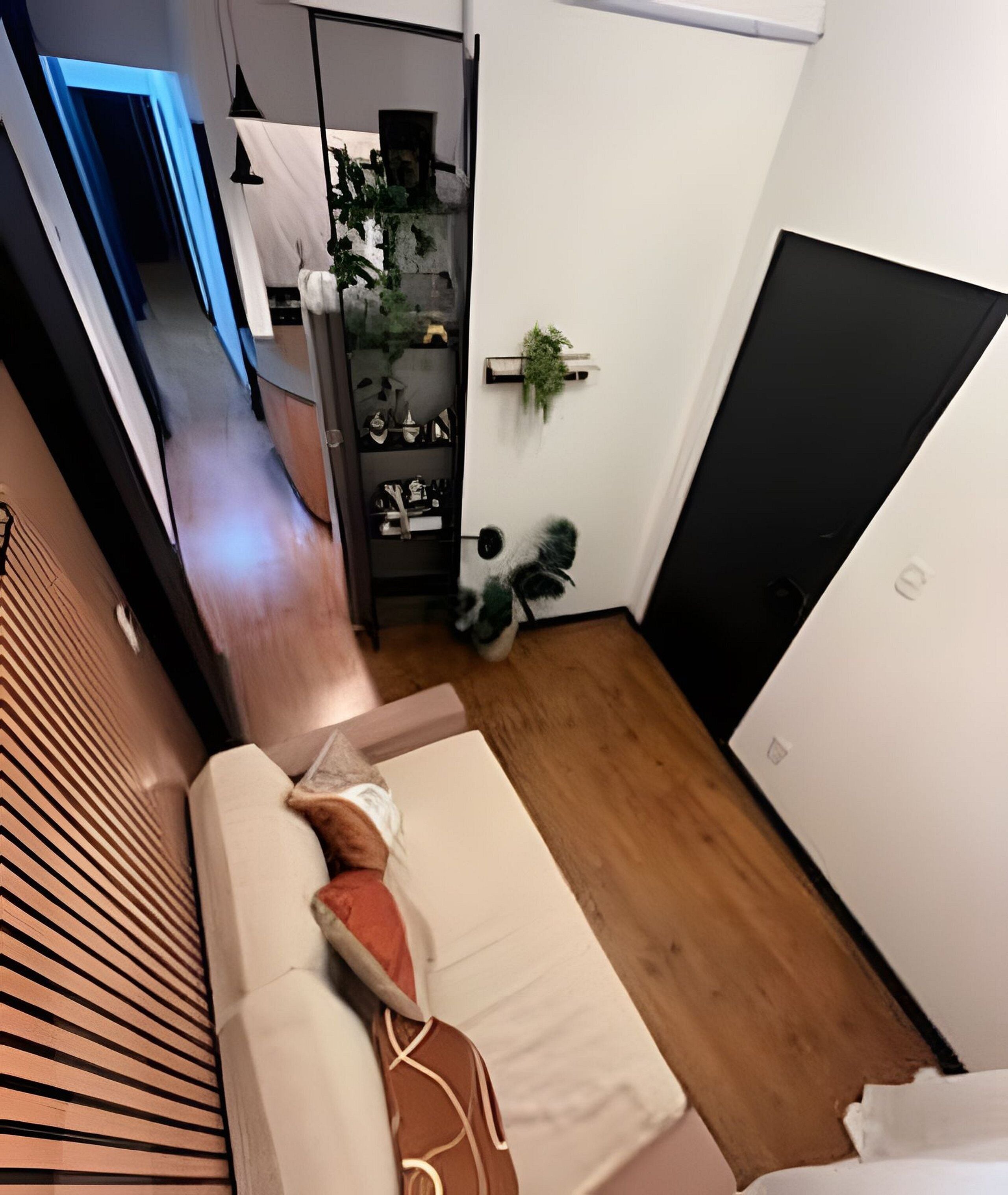 Deluxe Apartment | Interior