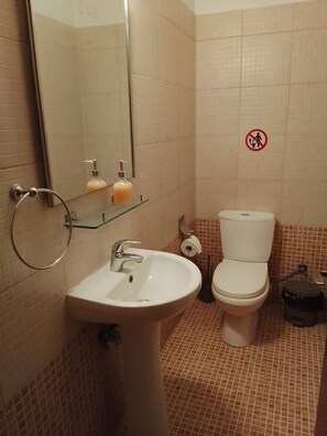 Asciugacapelli, asciugamani, sapone, carta igienica