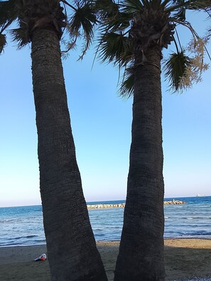 Two palm trees framing a view of the sea and a rocky breakwater.