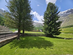 Eine bewachsene Wiese mit Bäumen und einem Berg im Hintergrund.
