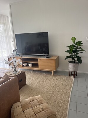 A living room with a flat-screen TV on a wooden stand, a potted plant, and a woven rug.