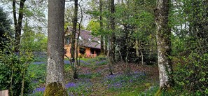 Et hus omgivet af træer og et skovområde med lilla blomster.
