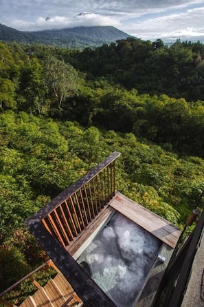 A hot spring area with a wooden deck and a view of a lush forest.