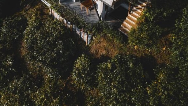 Uma casa moderna e elevada com fachada de vidro, rodeada por vegetação densa.