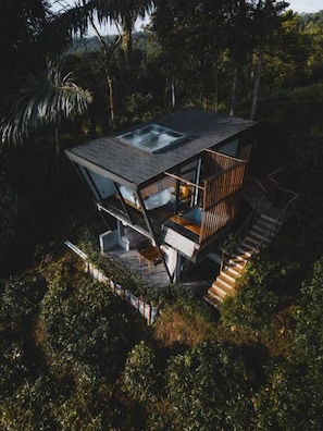 A modern, elevated house with a glass facade, surrounded by dense vegetation.