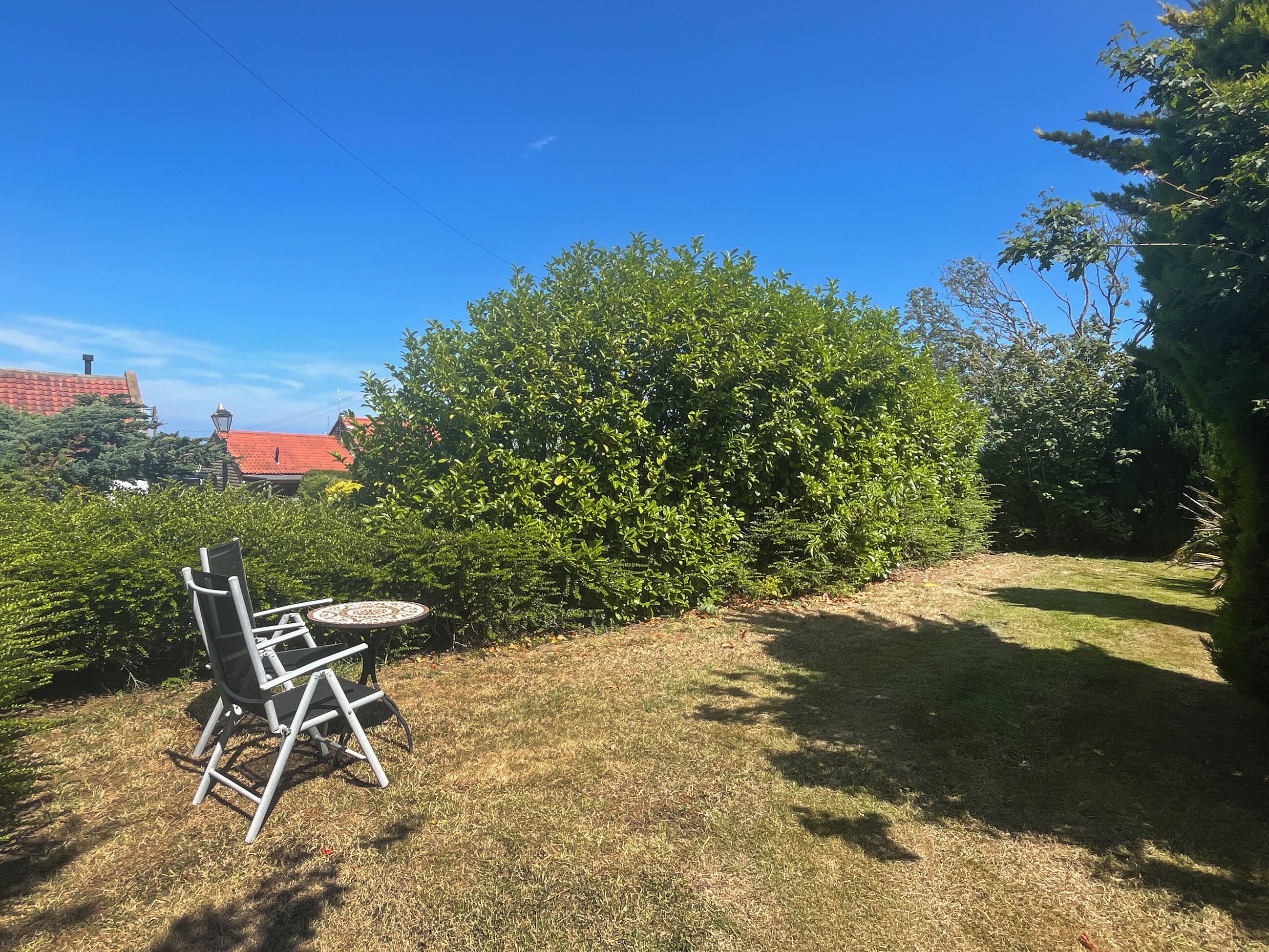 A grassy outdoor area with a metal chair and a small table, surrounded by dense shrubbery and trees.