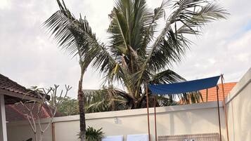Una piscina al aire libre, sombrillas, tumbonas