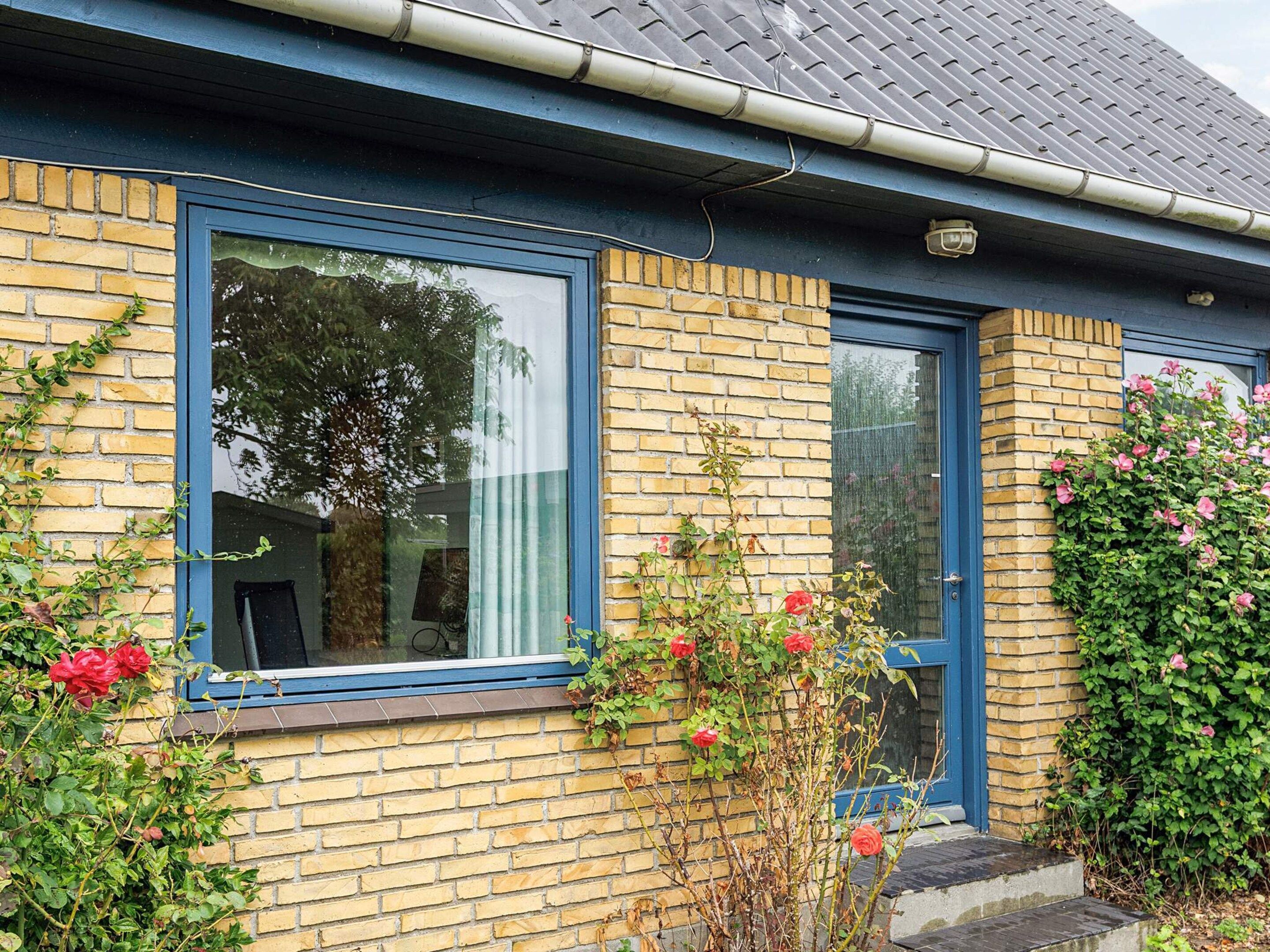 A brick house with a blue window frame, a door, and a small garden with roses.