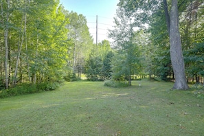 A grassy area with trees and a clear sky. - Near Lakes & Trails! Northwoods Retreat (Phelps)