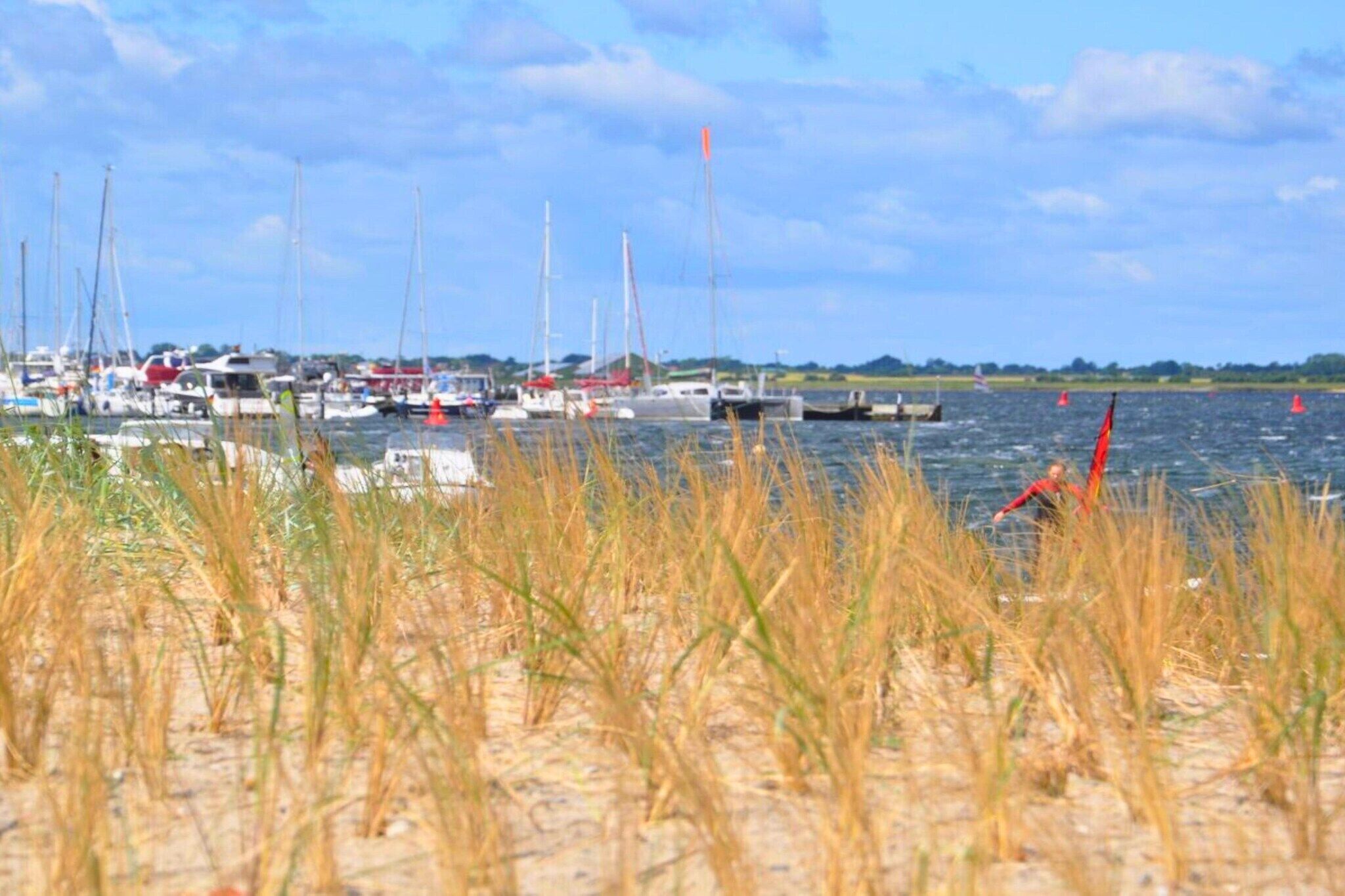 Dans les environs [été] (1-5 km)