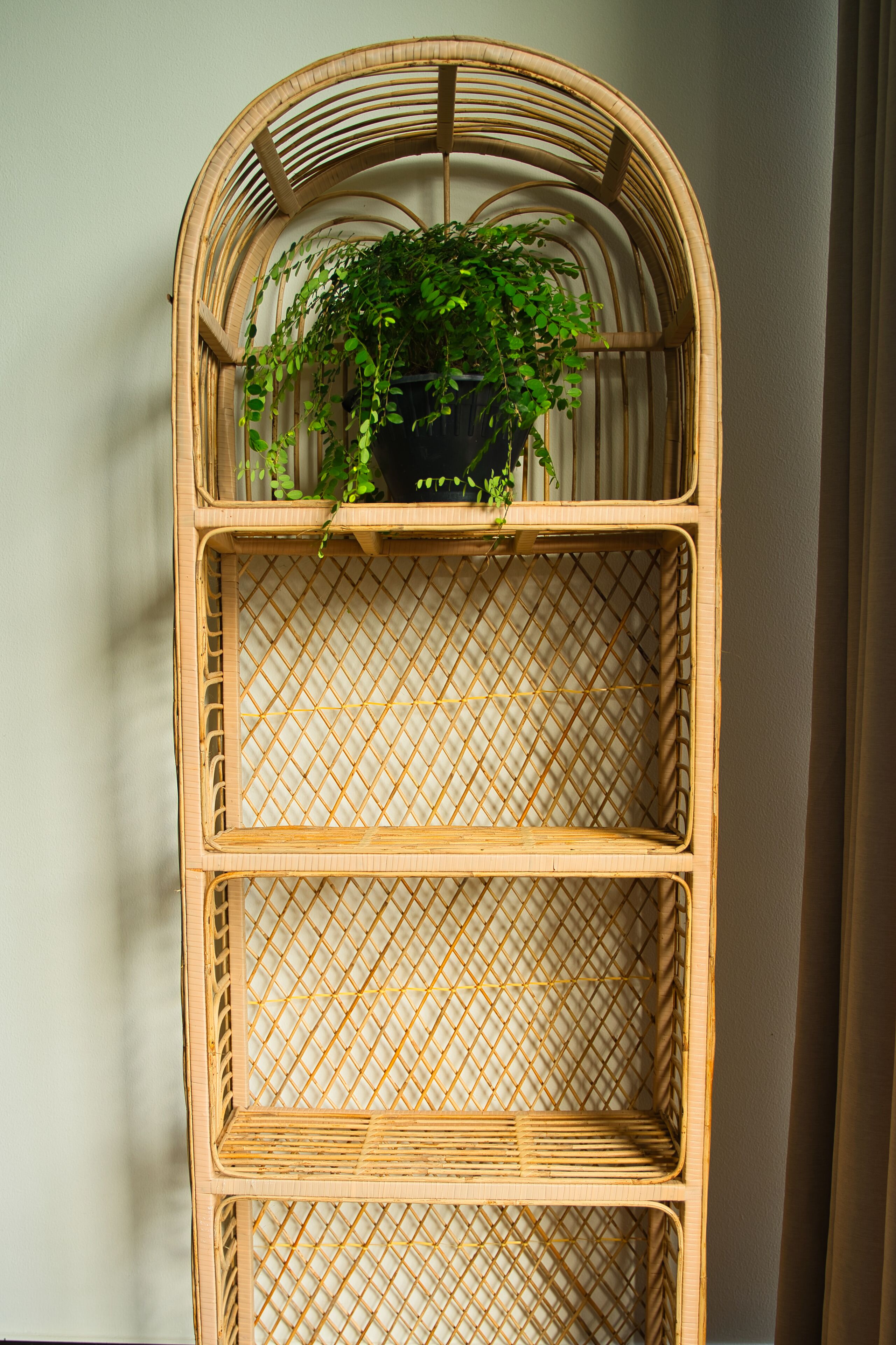 Una estantería de mimbre con una planta, que presenta un diseño de celosía y varios compartimentos.