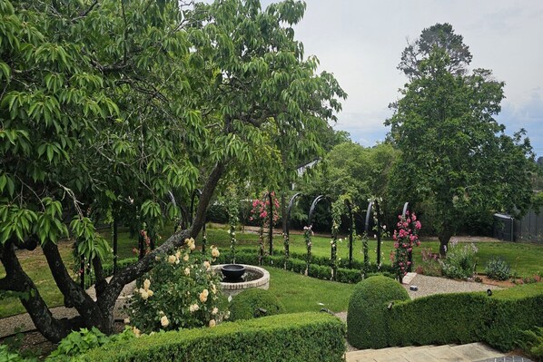 A well-maintained garden with a variety of plants, a circular water feature, and neatly trimmed hedges.