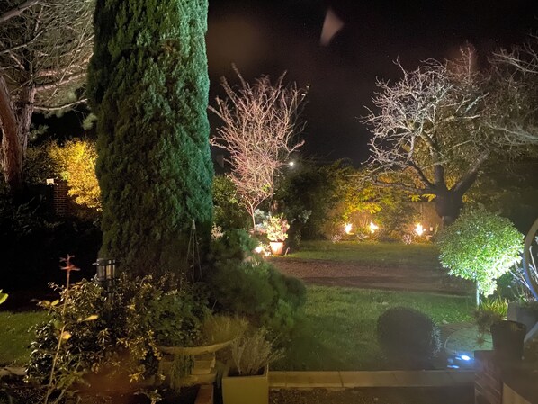 A nighttime garden with a large tree, a well-lit pathway, and various plants.