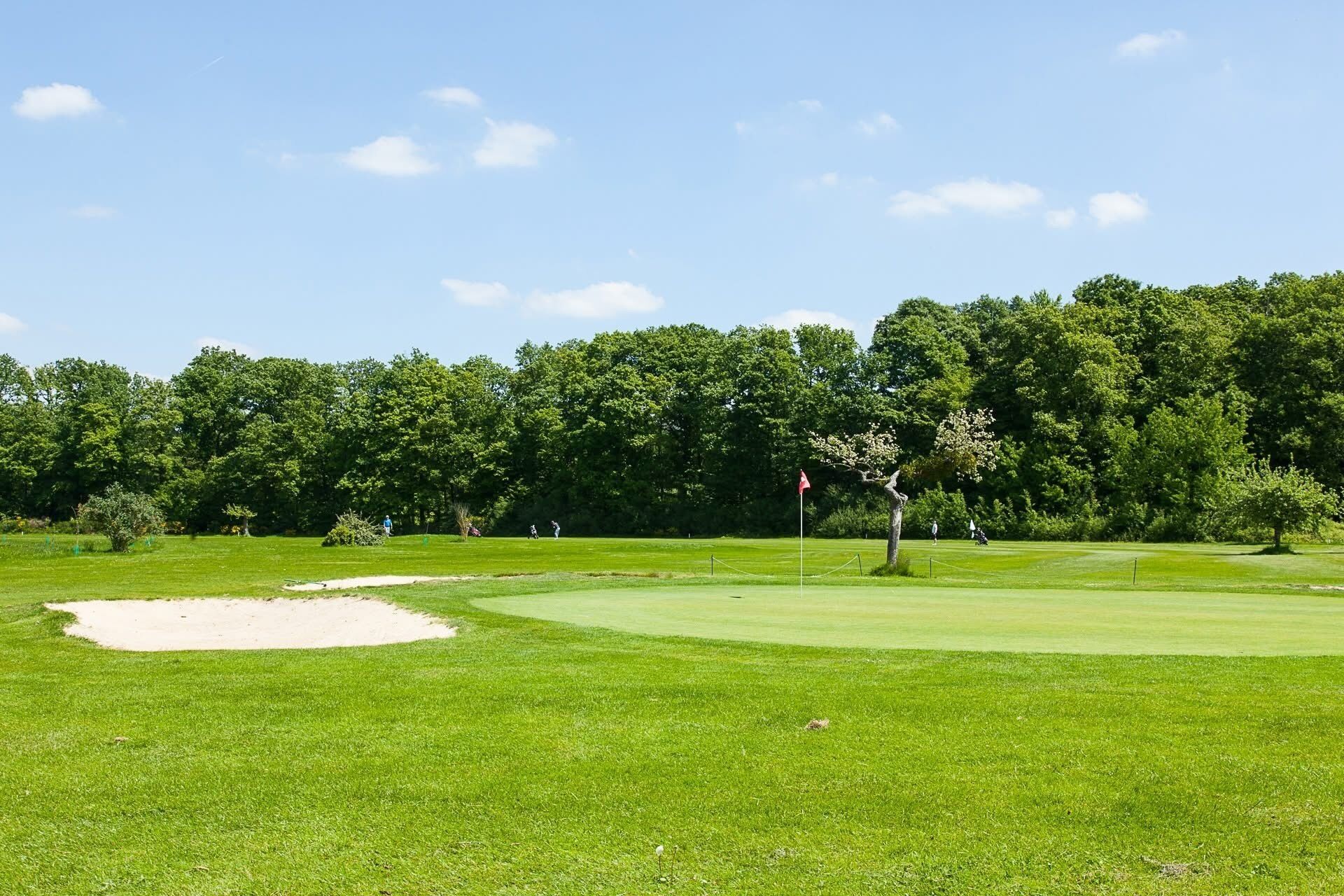 Golf