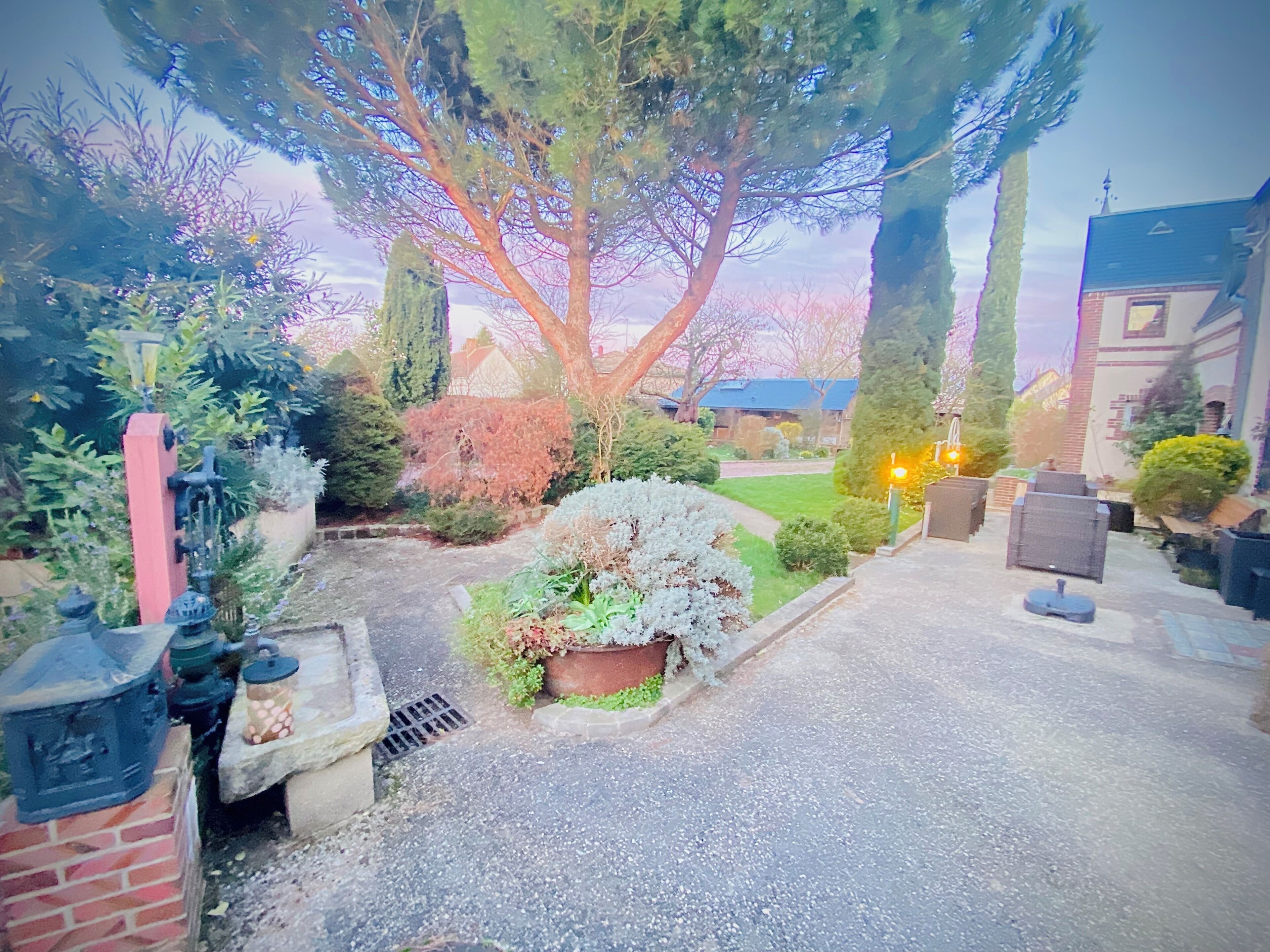 A residential garden with a paved driveway, a large tree, and a brick wall.
