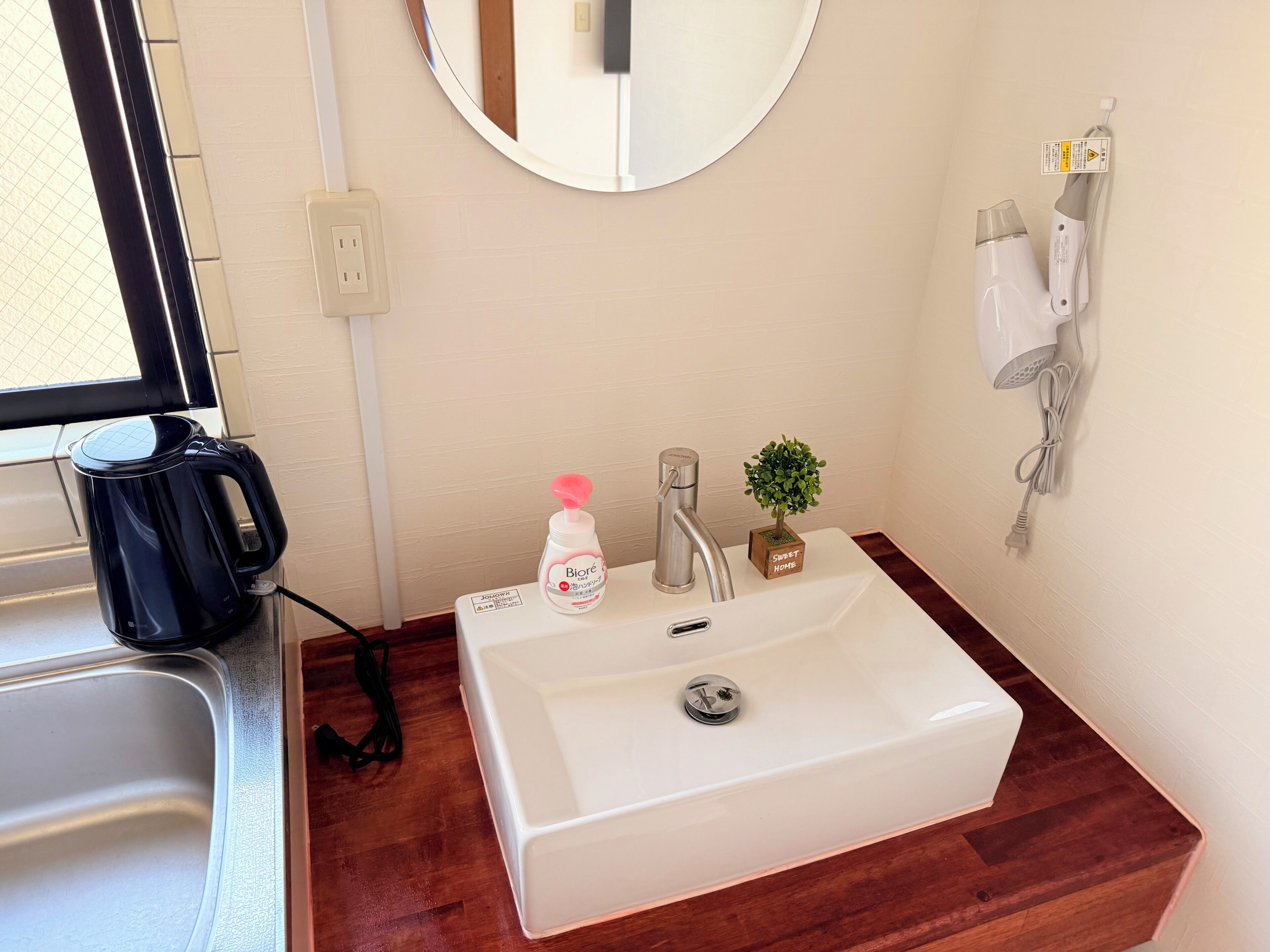 A bathroom with a white sink, a small potted plant, a bottle of hand soap, a hairdryer, and a mirror on the wall.