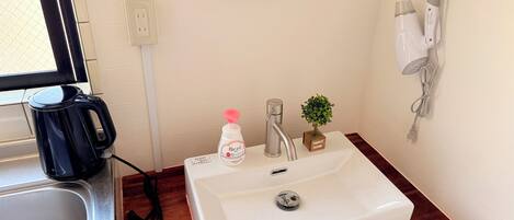A bathroom with a white sink, a small potted plant, a bottle of hand soap, a hairdryer, and a mirror on the wall.