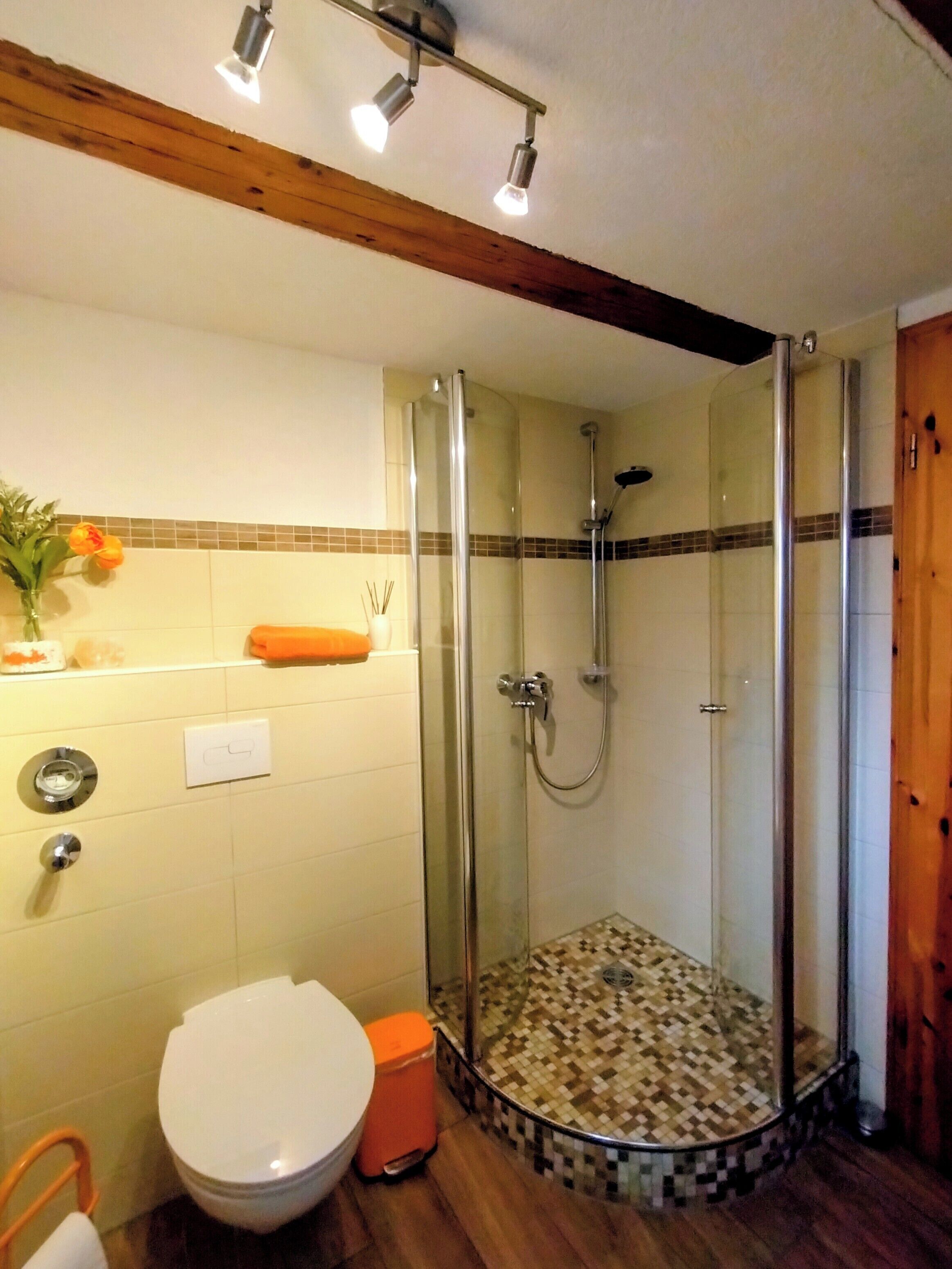 Dusche, Haartrockner, Handtücher, Seife