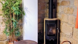 Ein Zimmer mit einer Steinwand, einem schwarzen Kaminofen, einer Topfpflanze mit Bambus, einem braunen Lederhocker und einem gewebten Korb.