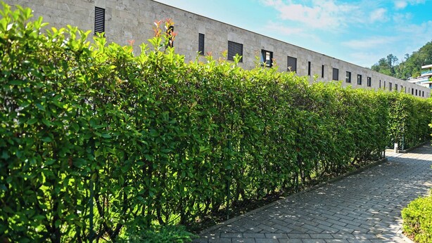 A pathway lined with neatly trimmed hedges and a building with a modern design, featuring a series of windows and a flat roof. - Luxury Corba Lake View Apartment with Terrace (Canobbio)