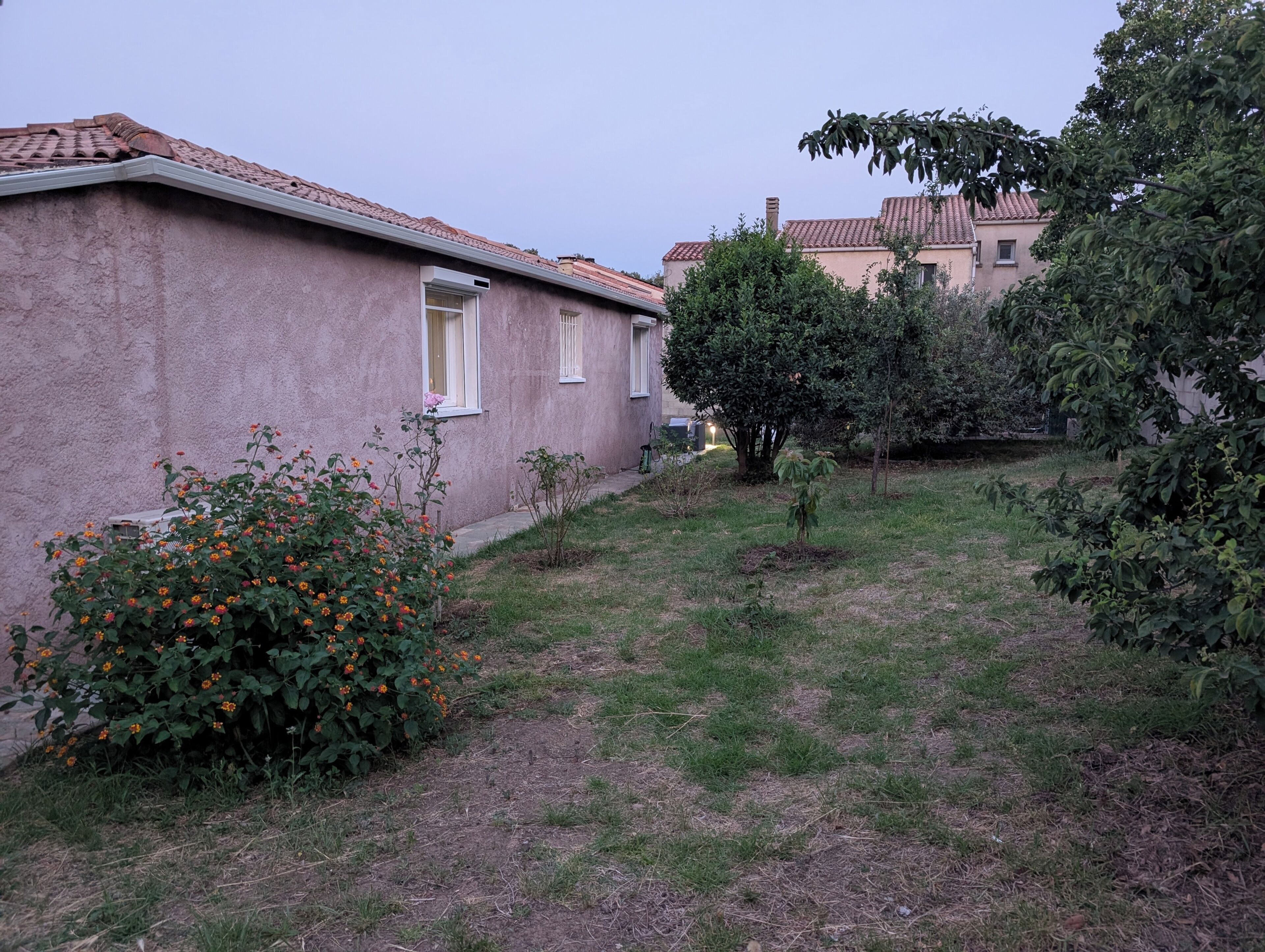 A house with a tiled roof, a small garden with orange flowers, and a tree.