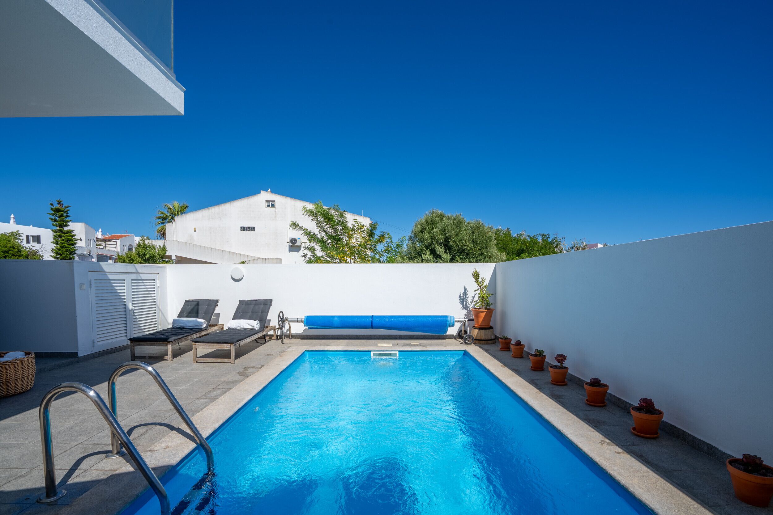Una piscina en la azotea con dos tumbonas, una escalera y plantas en macetas.