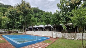 A swimming pool with a brick border, surrounded by a grassy area and trees.
