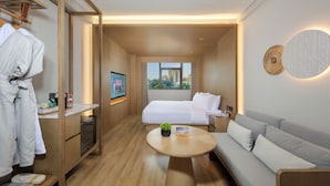 A hotel room with a bed, a sofa, a desk, and a robe hanging on a rack.