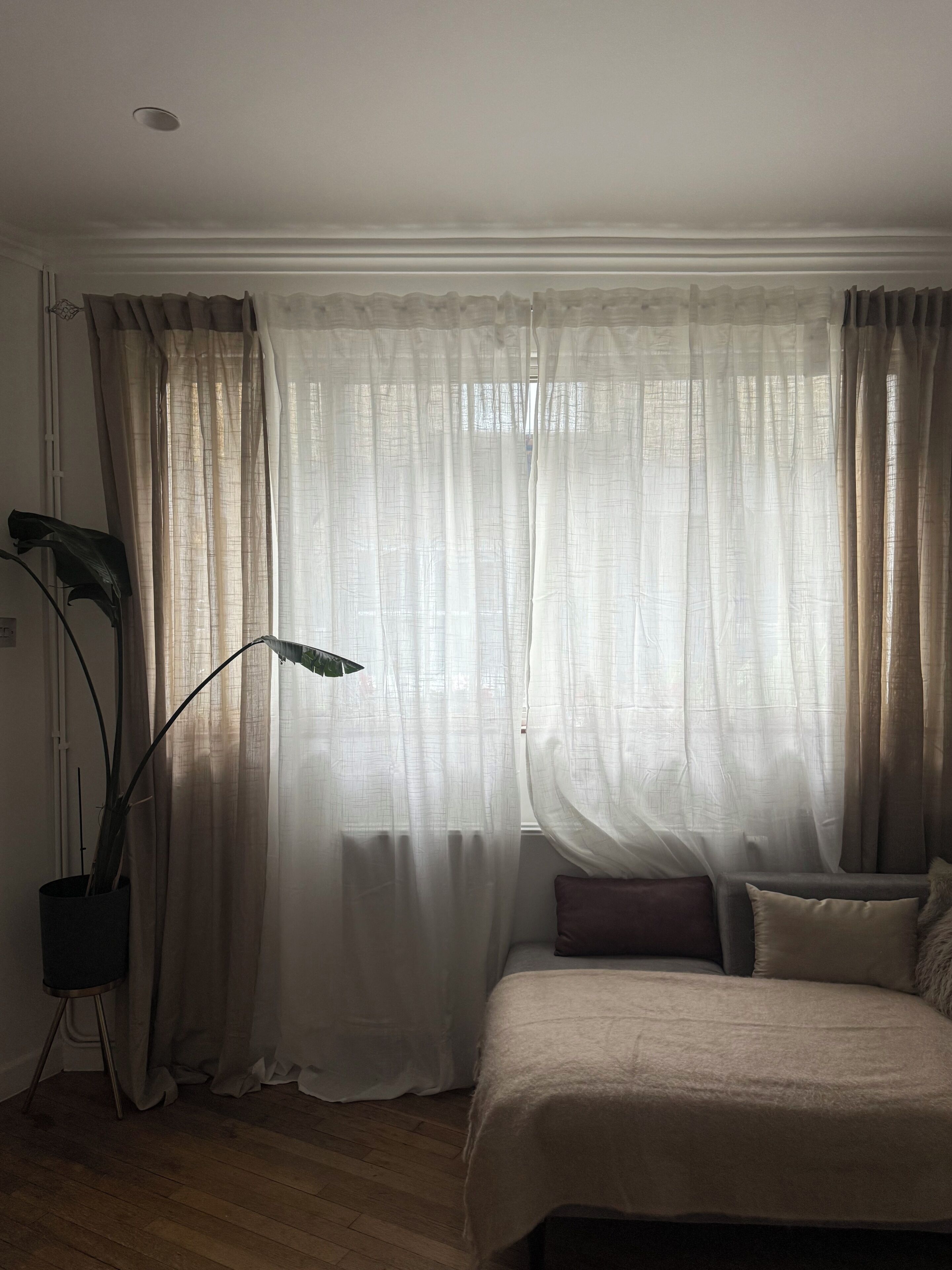 Ein Schlafzimmer mit einem Bett, einer großen Kübelpflanze und transparenten Vorhängen.