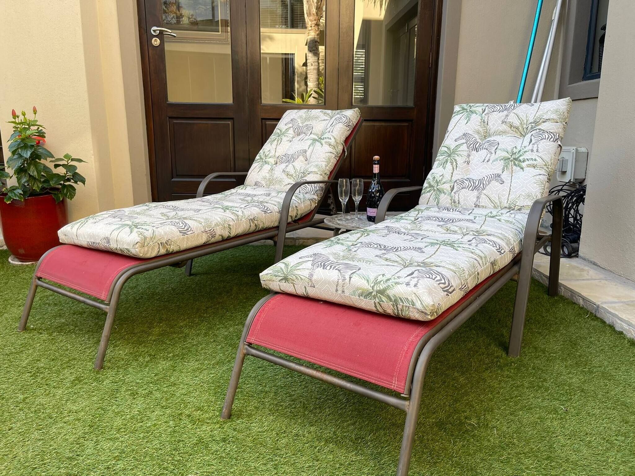 Two lounge chairs with matching cushions, a potted plant, and a door in the background.