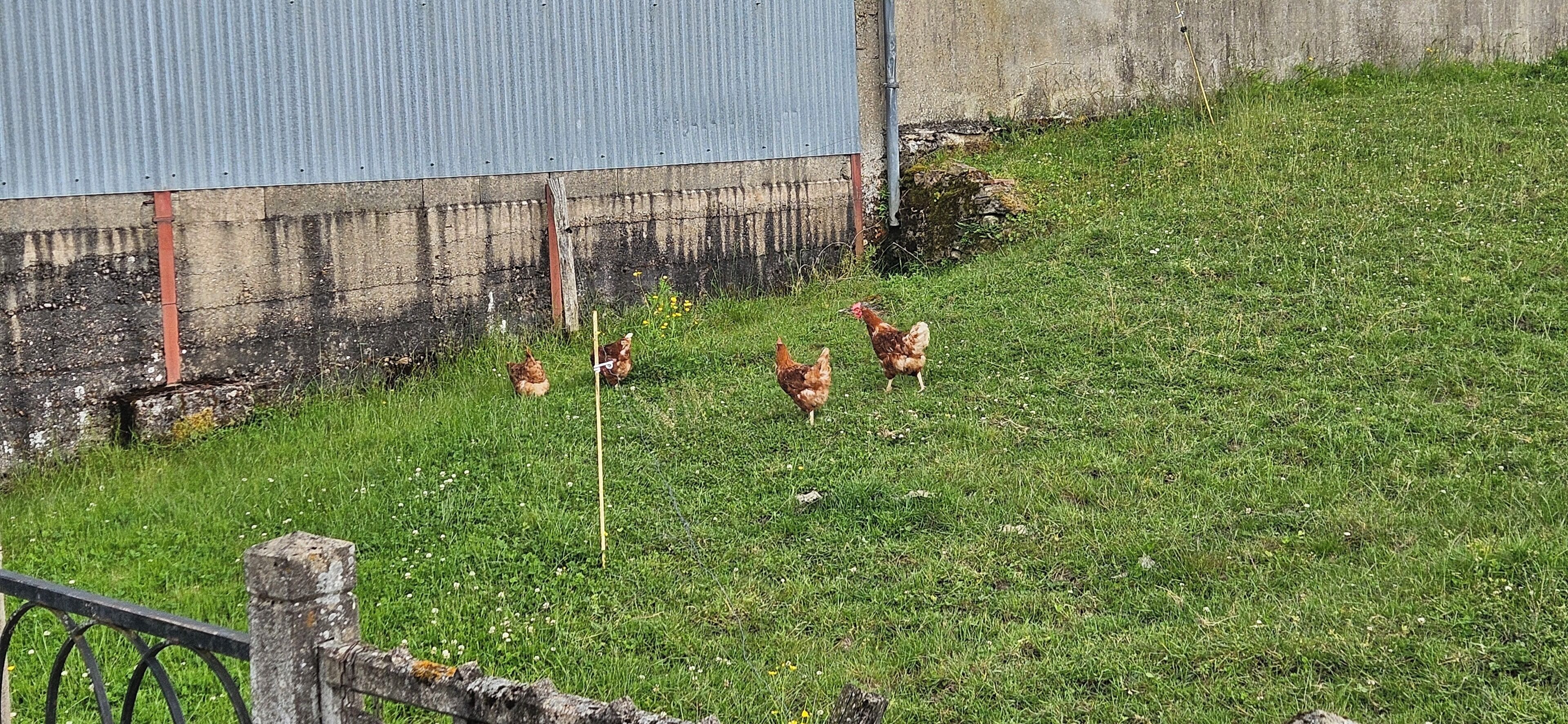 住宿场地
