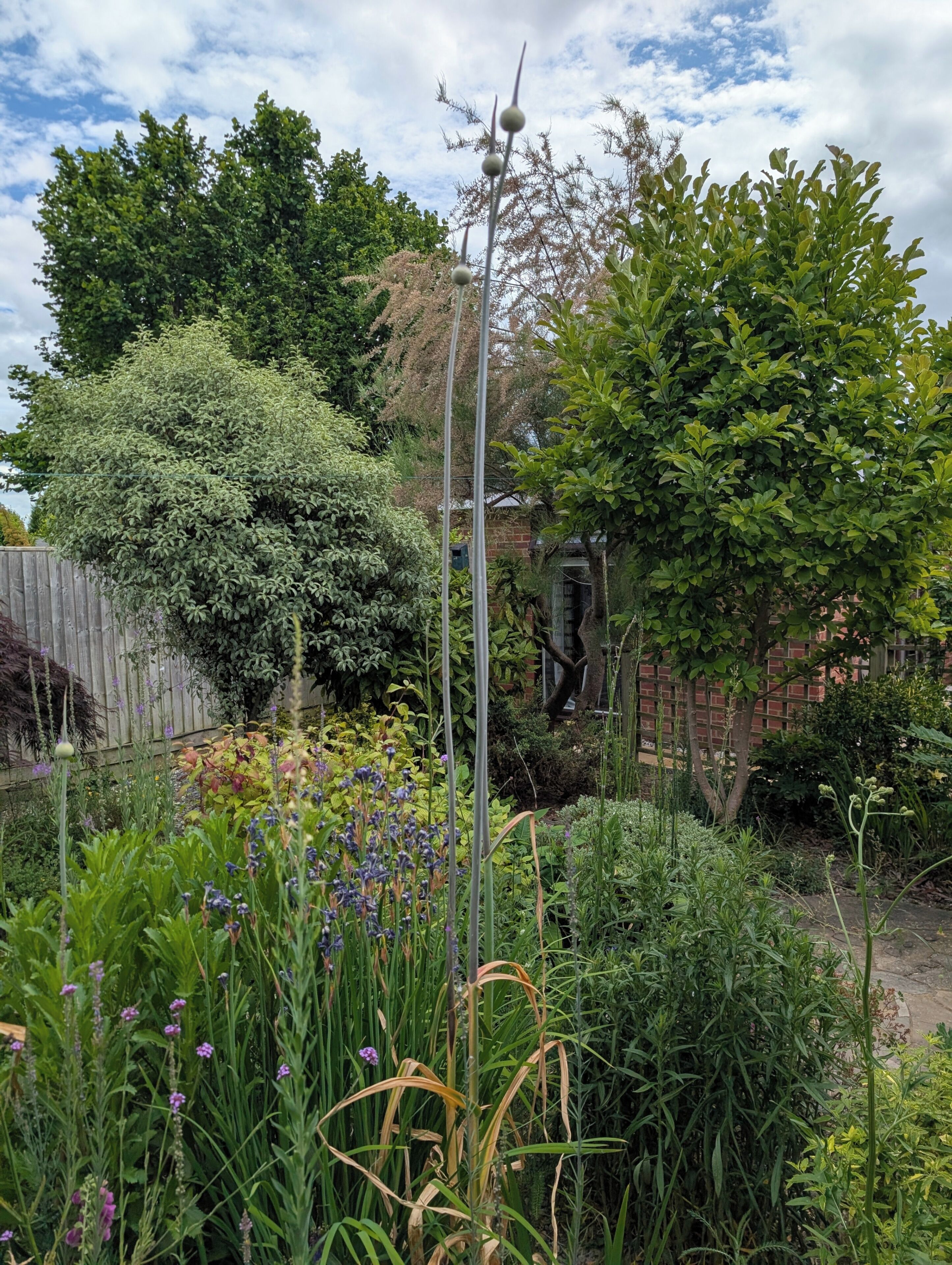 Ein Garten mit verschiedenen Pflanzen und einem Holzzaun.