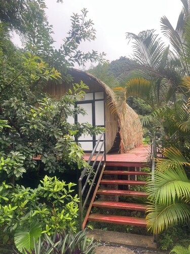 Cat Ba Love House