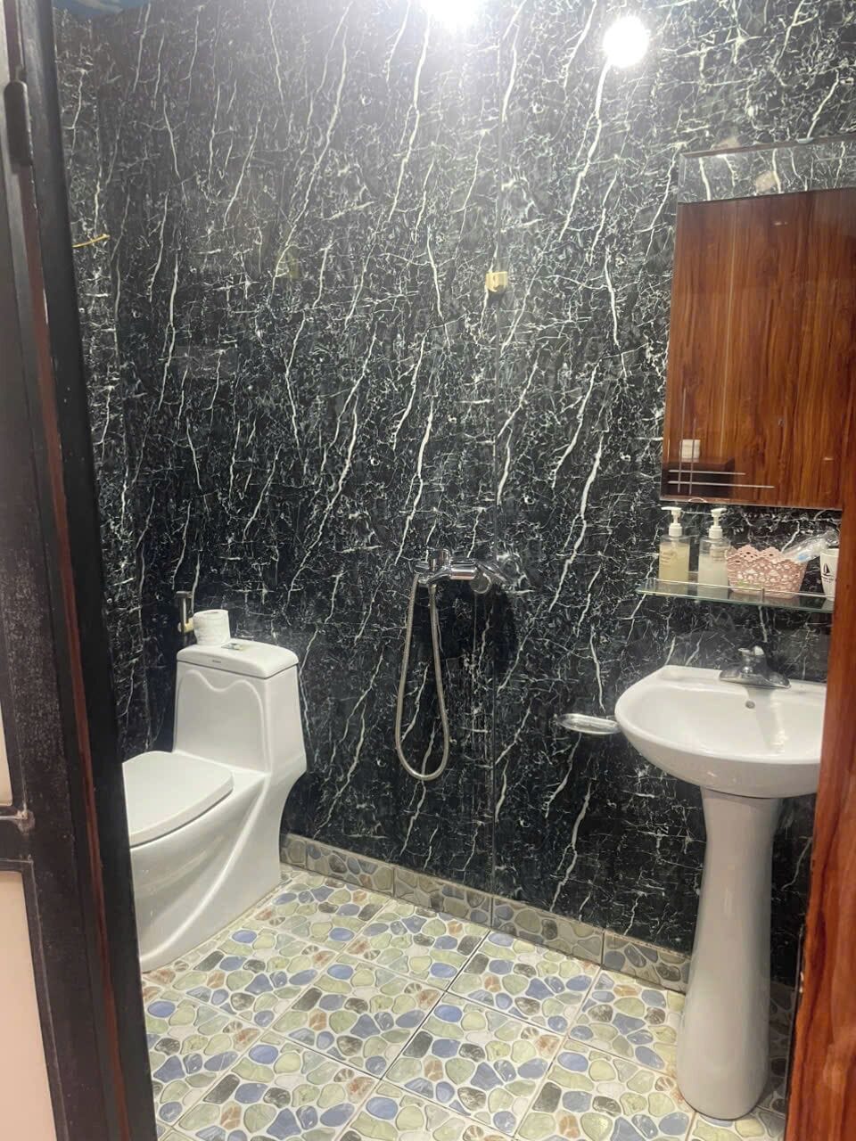Baño con pared de mármol, inodoro, lavabo y ducha.
