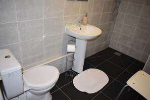 Ein Badezimmer mit Toilette, Waschbecken und einem kleinen Teppich.