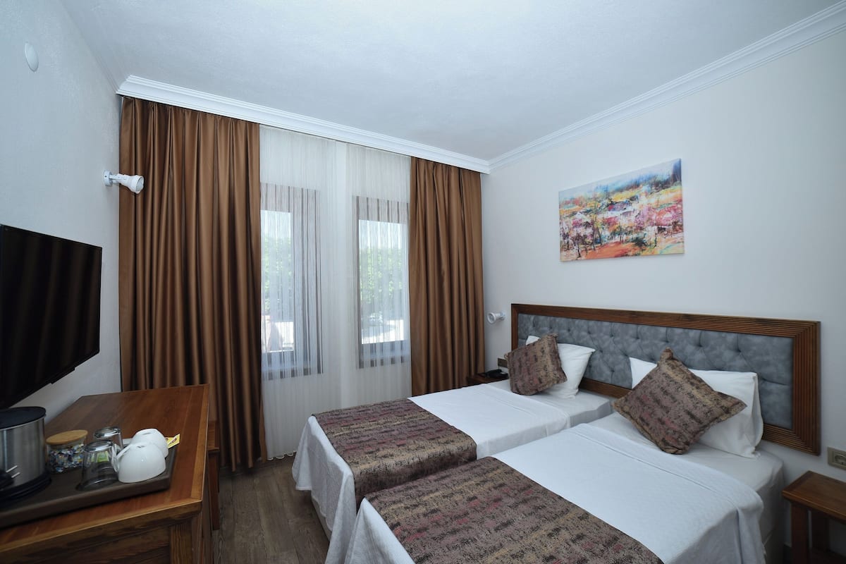 Habitación estándar con 2 camas individuales, vista a la ciudad | Wifi gratis