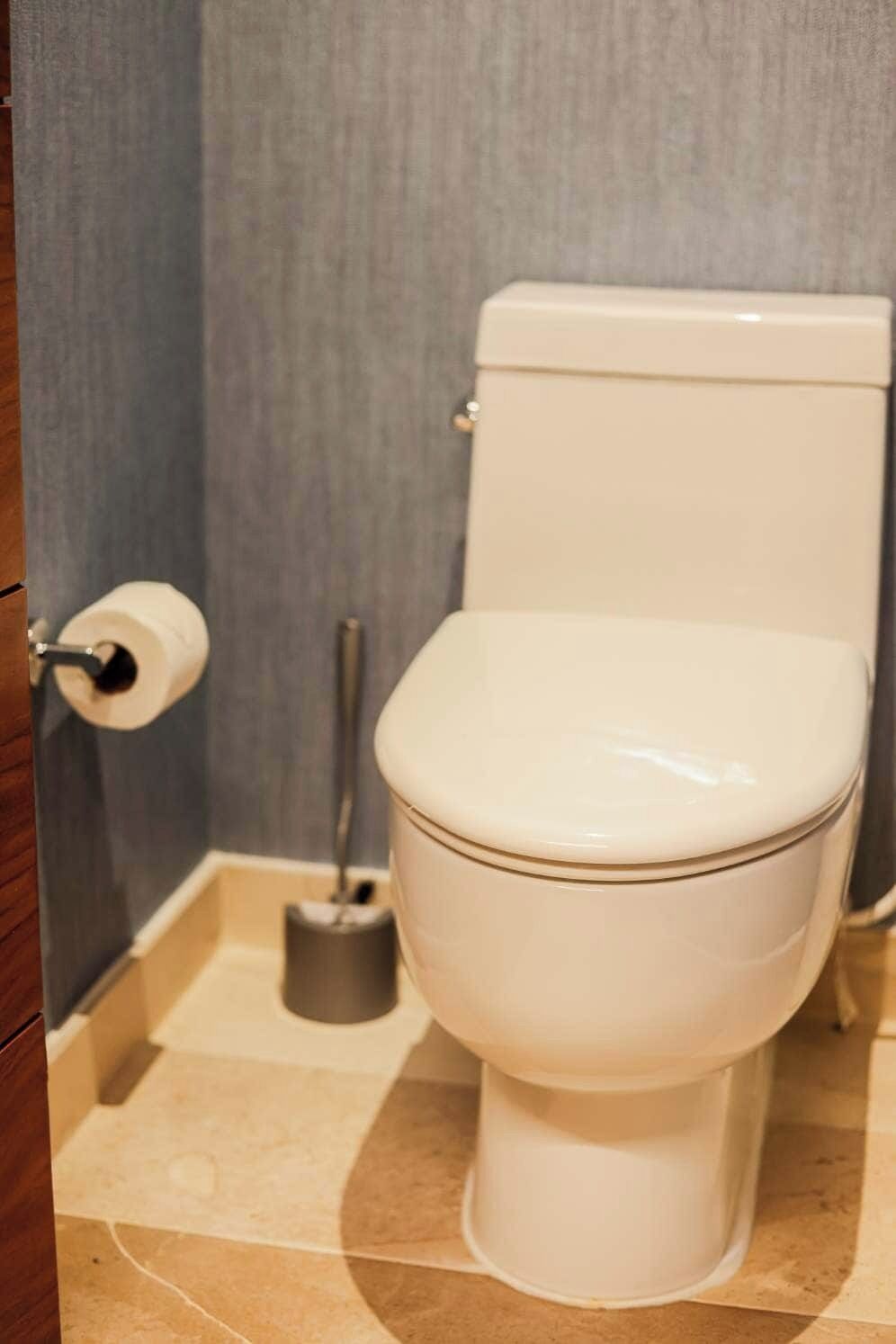 A toilet with a white lid and tank, a toilet paper holder, and a bidet sprayer on the floor.